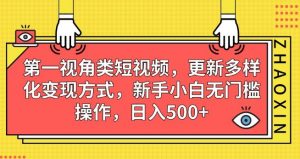 第一视角类短视频，更新多样化变现方式，新手小白无门槛操作，日入500+【揭秘】-网赚36计