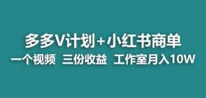【蓝海项目】多多v计划+小红书商单一个视频三份收益工作室月入10w-网赚36计