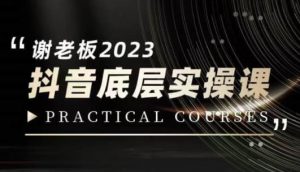 蟹老板·2023抖音底层实操课,打造短视频的底层认知-网赚36计