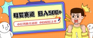 小红书育儿资料,一部手机可操作,多种变现方式,日入500+,私域变现,长期可持续项目【揭秘】-网赚36计
