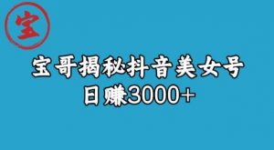 宝哥揭秘抖音美女号玩法，日赚3000+【揭秘】-网赚36计
