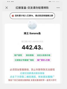 盲盒交友5.0，男粉变现实操项目，亲测变现效果极好【揭秘】-网赚36计
