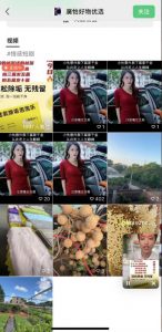 外面收费198的最新视频号连怼技术，条条原创，条条爆单【揭秘】-网赚36计