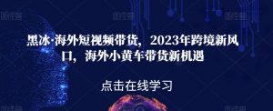 黑冰·海外短视频带货，2023年跨境新风口，海外小黄车带货新机遇-网赚36计