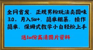 全网首发正规男粉玩法卖圆味3.0,月入5W+,简单粗暴,操作简单,保姆式教学,小白轻松上手-网赚36计