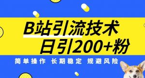 B站引流技术：每天引流200精准粉，简单操作，长期稳定，规避风险-网赚36计