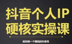 个人IP创富系统实战课,商业定位,流量打造,短视频变现,教你做个赚钱的抖音号-网赚36计