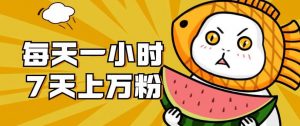 暴力涨粉项目:每天一小时,七天上万粉【揭秘】-网赚36计