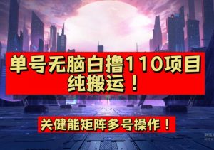 9月全网首发，单号直接白撸110！可多号操作，无脑搬运复制粘贴【揭秘】-网赚36计