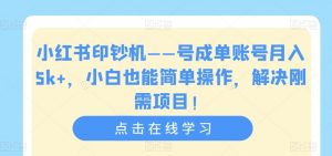 小红书印钞机——号成单账号月入5k+，小白也能简单操作，解决刚需项目【揭秘】-网赚36计