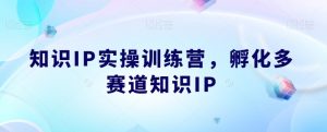 知识IP实操训练营，​孵化多赛道知识IP-网赚36计