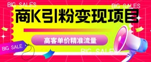 商K引粉变现项目，高客单价精准流量【揭秘】-网赚36计
