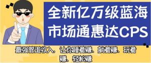 全新亿万级蓝海市场通惠达cps，最强管道收入，让你睡着赚、躺着赚、玩着赚、轻松赚【揭秘】-网赚36计