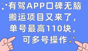 有驾APP口碑无脑搬运项目又来了，单号最高110块，可多号操作-网赚36计