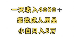一天收入4000+，靠卖成人用品，小白轻松月入5万【揭秘】-网赚36计