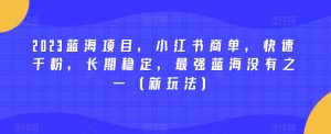 2023蓝海项目，小红书商单，快速千粉，长期稳定，最强蓝海没有之一（新玩法）-网赚36计
