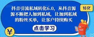 抖音引流私域转化6.0，从抖音源源不断把人加到私域，让加到私域的粉丝买单，让客户持续购买-网赚36计