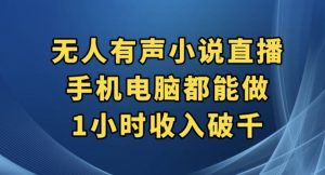 抖音无人有声小说直播，手机电脑都能做，1小时收入破千【揭秘】-网赚36计