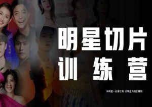 王子·明星切片线上训练营(2023),和明星一起拿红利,让明星为我们赚钱-网赚36计
