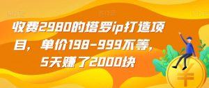 收费2980的塔罗ip打造项目，单价198-999不等，5天赚了2000块【揭秘】-网赚36计