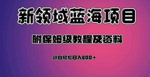 虚拟资源蓝海领域新项目，轻松日入800＋，附保姆级教程及资料-网赚36计