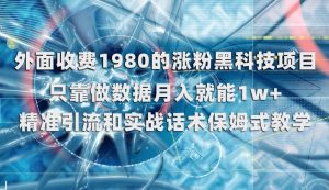 外面收费1980的涨粉黑科技项目，只靠做数据月入就能1w+【揭秘】-网赚36计