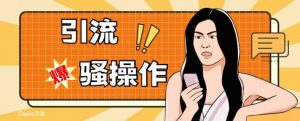 最新引流骚操作，单账号日引50-100，简单粗暴，适合于小白各行各业都可以进行操作，精准粉丝加到爆-网赚36计