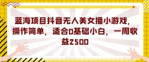 蓝海项目抖音无人美女播小游戏，操作简单，适合0基础小白，一周收益2500【揭秘】-网赚36计