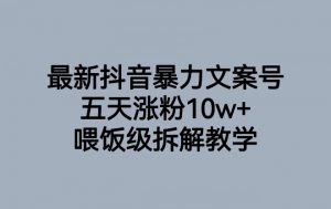 最新抖音暴力文案号，五天涨粉10w+，喂饭级拆解教学-网赚36计