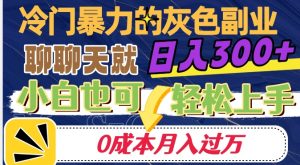 冷门暴利的副业项目，聊聊天就能日入300+，0成本月入过万【揭秘】-网赚36计