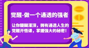 觉醒-做一个通透的强者，让你醍醐灌顶，拥有通透人生的觉醒开悟课，掌握强大的秘密！-网赚36计
