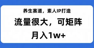 养生赛道,素人IP打造,流量很大,可矩阵,月入1w+【揭秘】-网赚36计