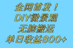全网首发冷门赛道!DIY微景观,无脑搬运视频,日收益800+【揭秘】-网赚36计