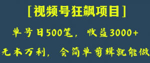 日收款500笔，纯利润3000+，视频号狂飙项目，会简单剪辑就能做【揭秘】-网赚36计