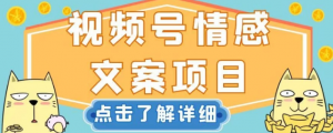 视频号情感文案项目，简单操作，新手小白轻松上手日入200+【揭秘】-网赚36计