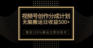 最新视频号创作分成计划,无脑搬运一天收益500+,100%搬运过原创技巧【揭秘】-网赚36计