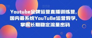 Youtube金牌运营直播训练营，国内最系统YouTuBe运营教学，掌握长期稳定流量密码-网赚36计
