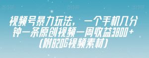 视频号暴力玩法，一个手机几分钟一条原创视频一周收益3800+（附820G视频素材）-网赚36计
