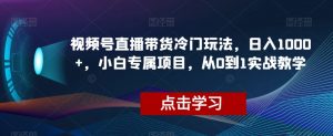 视频号直播带货冷门玩法，日入1000+，小白专属项目，从0到1实战教学【揭秘】-网赚36计