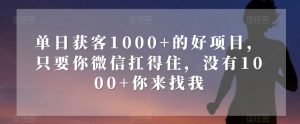 单日获客1000+的好项目，只要你微信扛得住，没有1000+你来找我【揭秘】-网赚36计