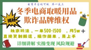 利用电商平台冬季销售取暖用品欺诈行为合理制裁店铺，单日入900+【仅揭秘】-网赚36计