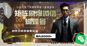 矩阵刷爆微信蝴蝶号创作者分成计划收益的新玩法，日入2000+【揭秘】-网赚36计