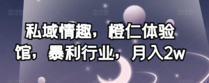 私域情趣，橙仁体验馆，暴利行业，月入2w【揭秘】-网赚36计