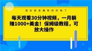 每天观看30分钟视频，一月躺赚1000+美金！保姆级教程，可放大操作【揭秘】-网赚36计