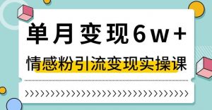 单月变现6W+，抖音情感粉引流变现实操课，小白可做，轻松上手，独家赛道【揭秘】-网赚36计