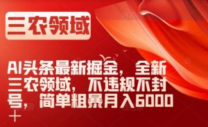 AI头条最新掘金，全新三农领域，不违规不封号，简单粗暴月入6000＋【揭秘】-网赚36计