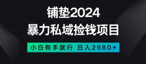 暴力私域捡钱项目,小白无脑操作,日入2980【揭秘】-网赚36计
