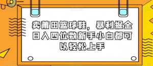 卖莆田篮球鞋，暴利掘金日入四位数新手小白都可以轻松上手【揭秘】-网赚36计