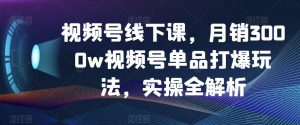 视频号线下课,月销3000w视频号单品打爆玩法,实操全解析-网赚36计