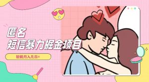 全网首发，揭秘超冷门匿名短信项目，通过信息差日入几百+【揭秘】-网赚36计